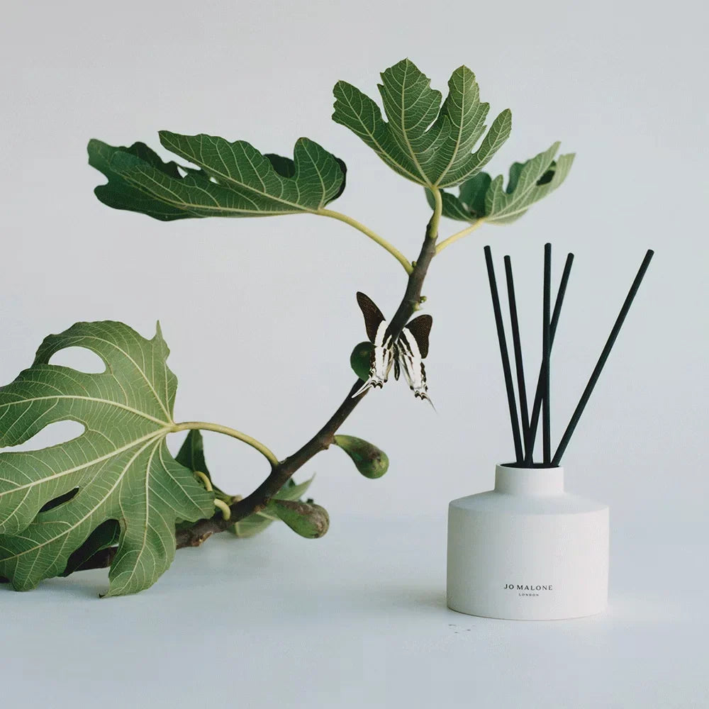 Fresh Fig & Cassis Reed Diffuser
