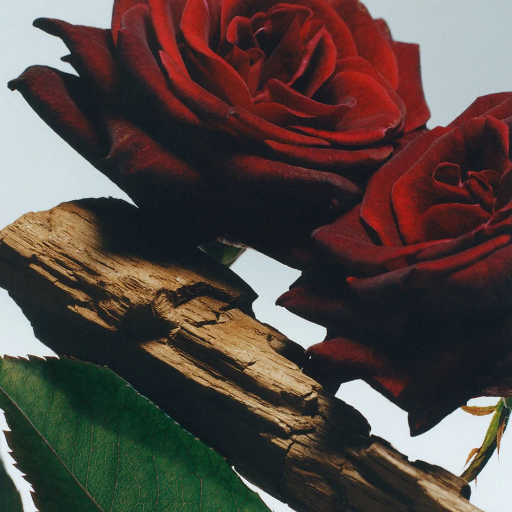 Velvet Rose & Oud Scented Candle
